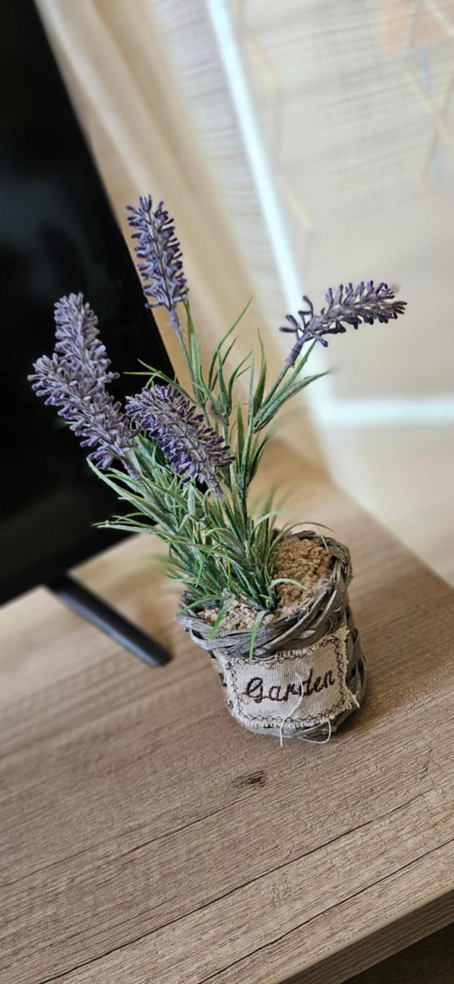 Gréta Apartman Hajdúszoboszló Esterno foto